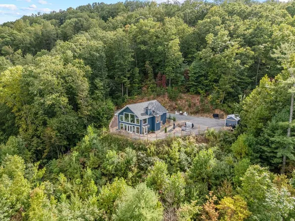 890 Hickory Dr, Mineral Bluff, GA 30559