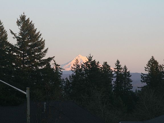Mt Hood 