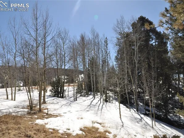 553 May Queen Dr, Cripple Creek, CO 80813