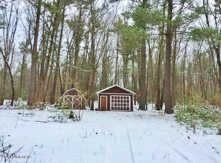 4729 E 40th St, Newaygo, MI 49337