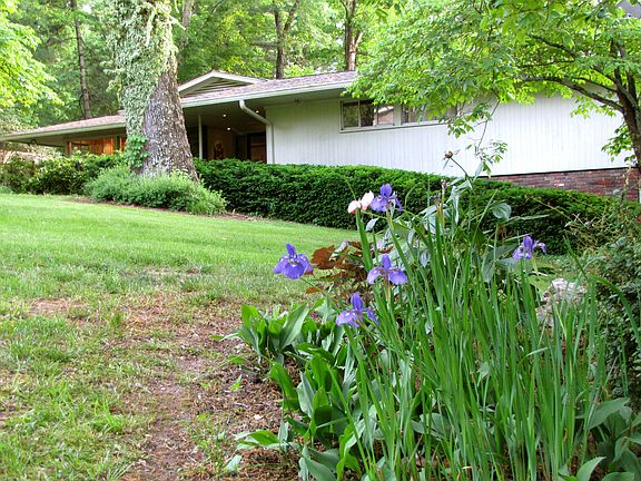 Fab 1956 Mid-Century Home 