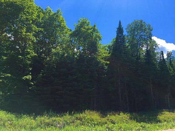 3rd image of Old Mackinaw Road 19.38 Acres