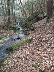 0 Lemmon Ln, Ellijay, GA, 30540