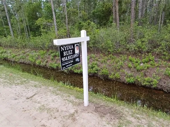 10695 Erickson Avenue, Hastings, FL 32145