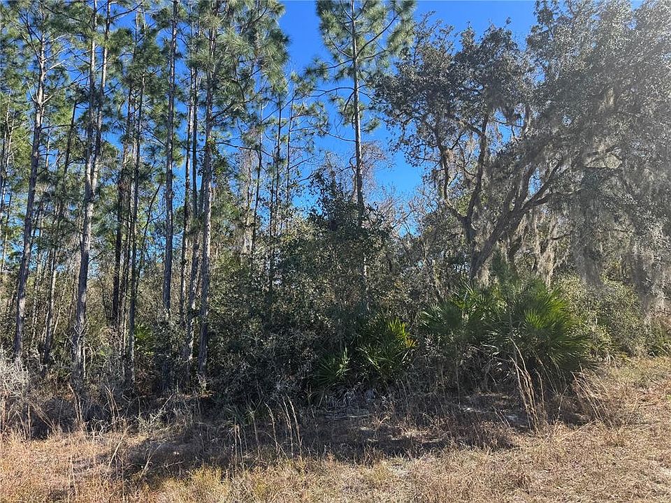 2nd image of GRACE AVENUE
