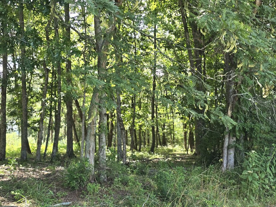 2nd image of 0 Nashville Hwy Lot 24A