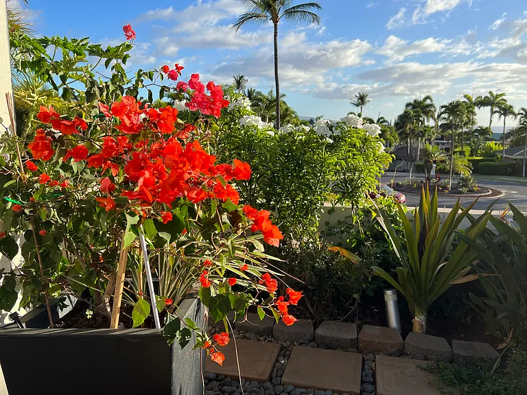 E Ikea Kai Pl — Photo 12
