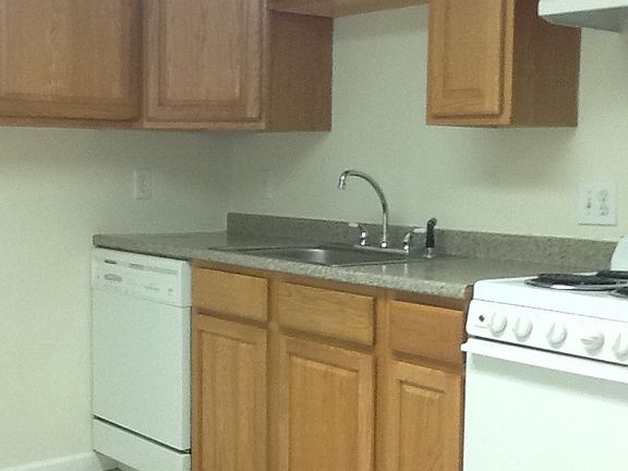 Large sink and dishwasher