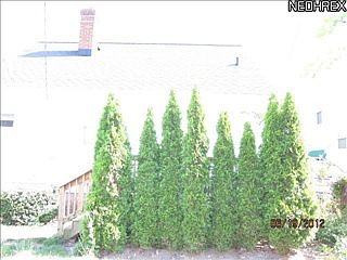 4th image of 22051 Fuller Ave