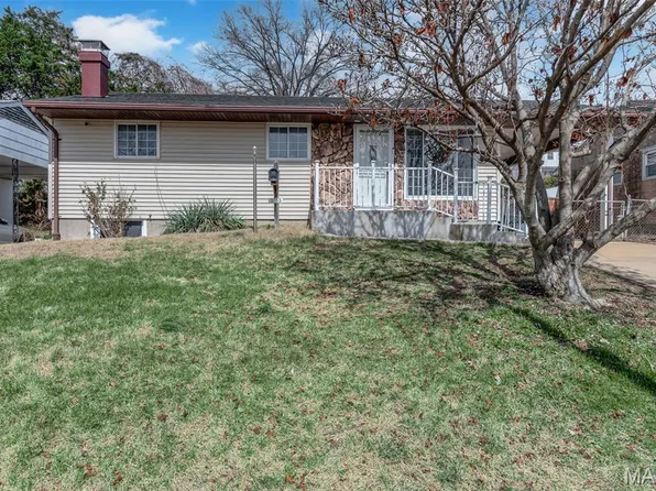 3733 Louis St, Saint Louis, MO 63116