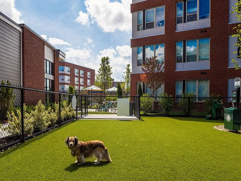 WAG Pet park