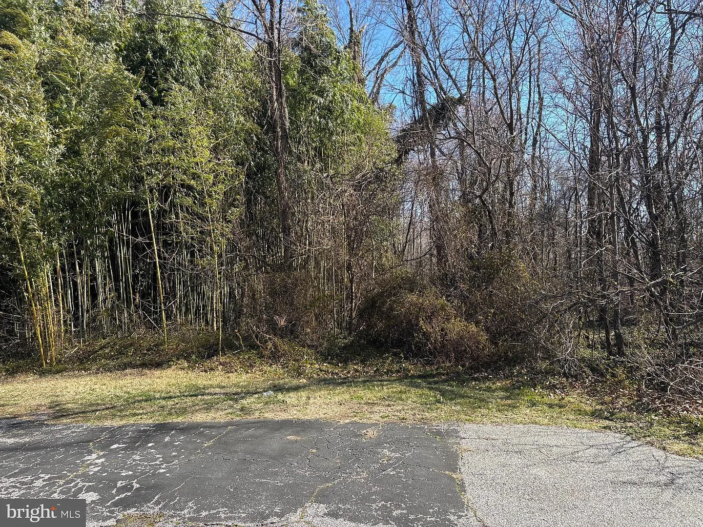 611 Philadelphia Rd photo 1
