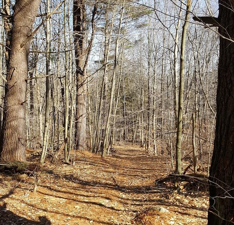1st image of 53 Flag Hill Road
