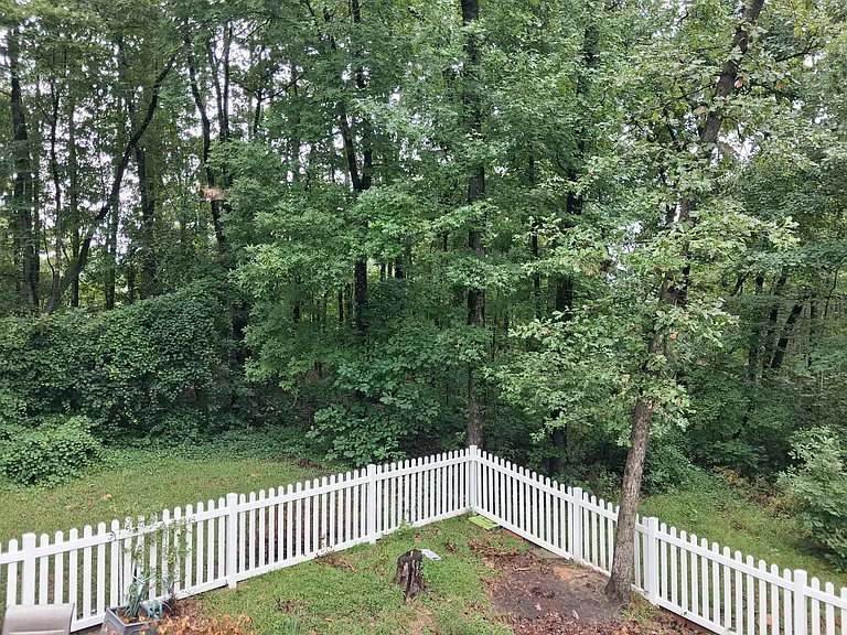 215 Diamond Point Trl — Photo 12