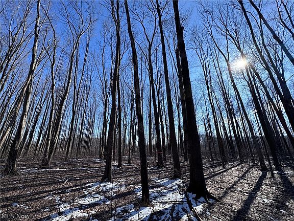 5th image of V/l 3 Painesville Warren Rd