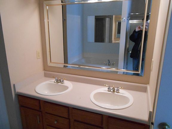 master bathroom sinks