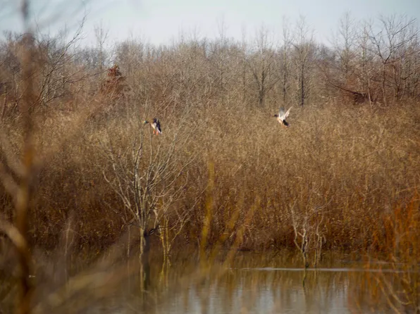 0 County Road 747, Hughes, AR 72348