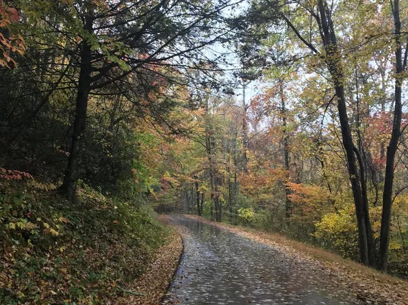 6 Coves Edge Dr, Butler, TN 37640