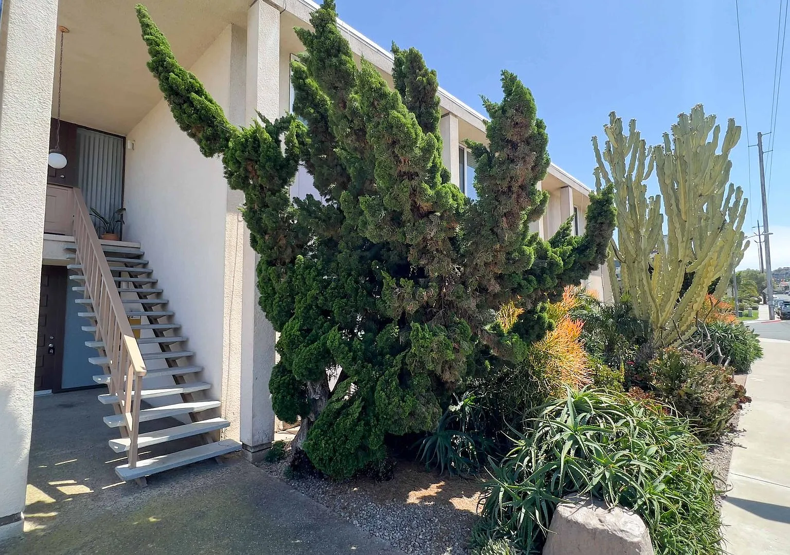 MPL Evergreen — Photo 1