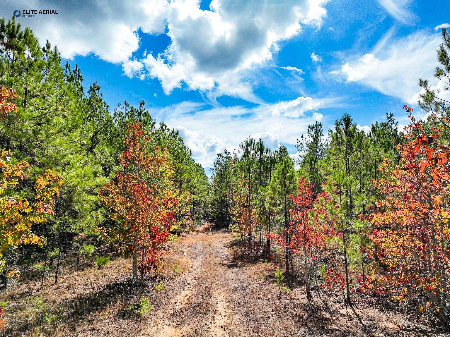 1901 County Road 454, Kirbyville, TX 75956 Zillow