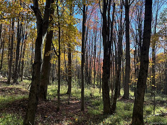 4th image of ROW off Chaffee Road