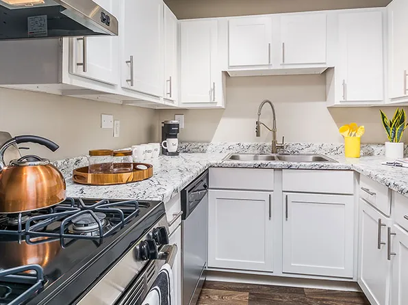 The Grove at Schaumburg Apartments, 305 Cambia Dr #1221, Schaumburg, IL 60193