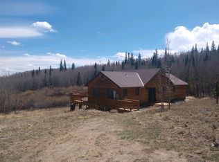 1125 Little Baldy Dr, Fairplay, CO 80440