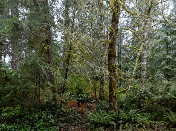 11416 86th Street Ct, Anderson Island, WA 98303