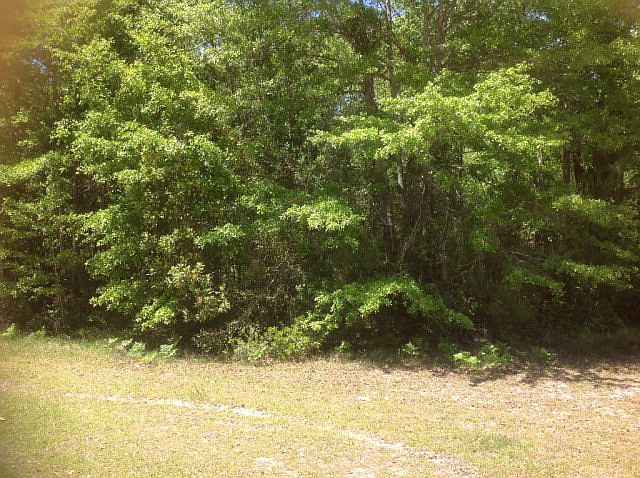 1st image of 109 Greencove Dr
