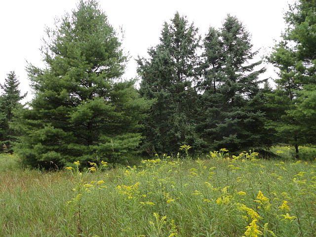 1st image of LOT 31 Gibraltar Ct