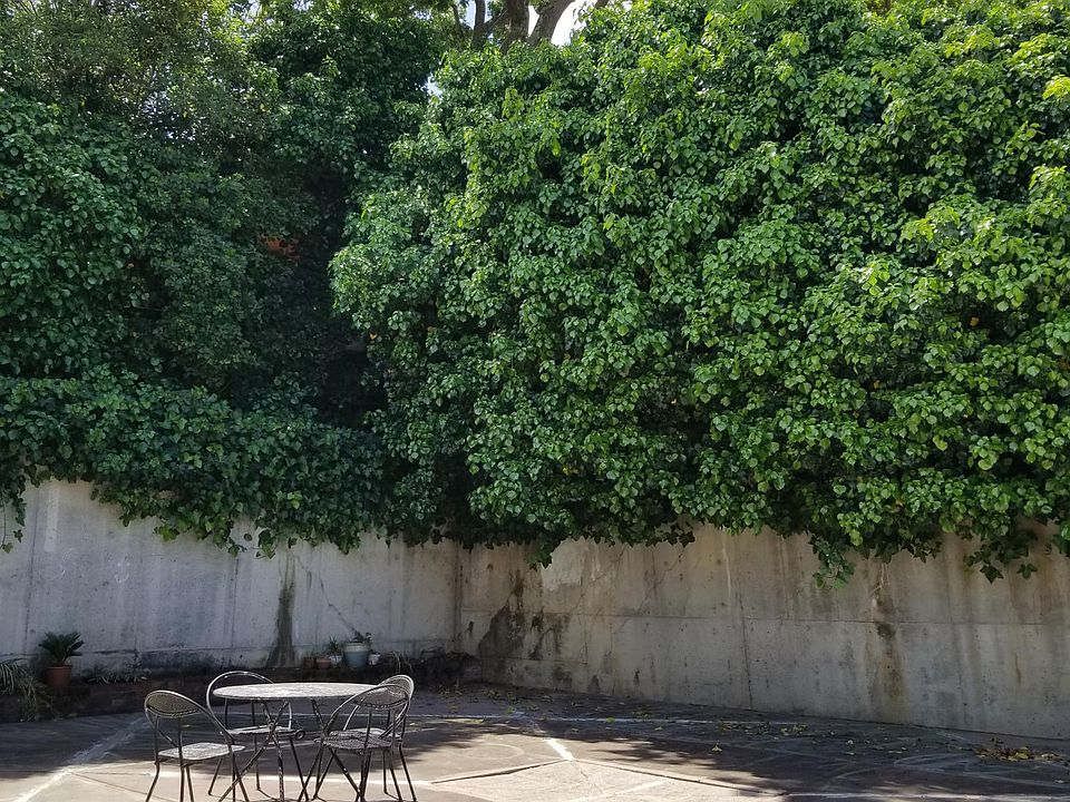 Community courtyard