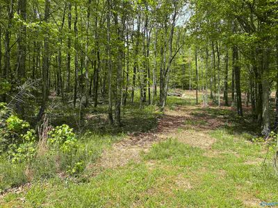 2521 Glenn Blvd SW, Fort Payne, AL, 35968