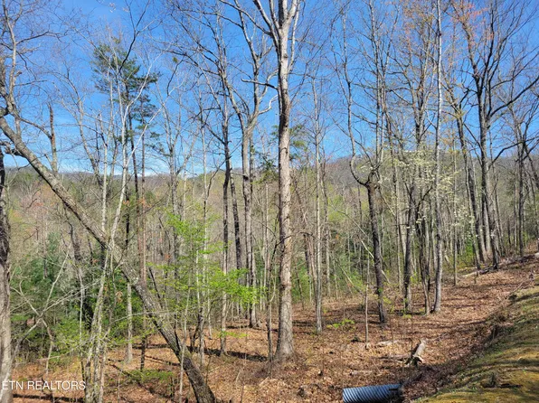LOT 10 Black Oak Dr, Sevierville, TN 37876