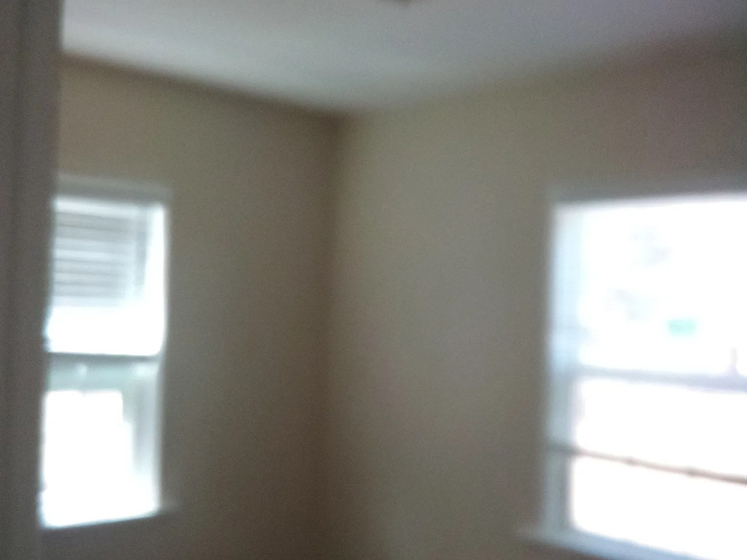 4 bed, 1508 sqft, $2,975 — Photo 4