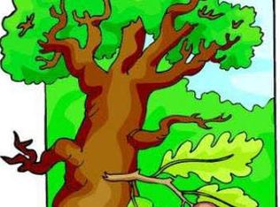 Hickory St, Butler, IN 46721