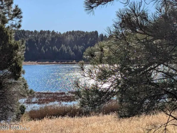 105 Ponderosa Dr, Mormon Lake, AZ 86038
