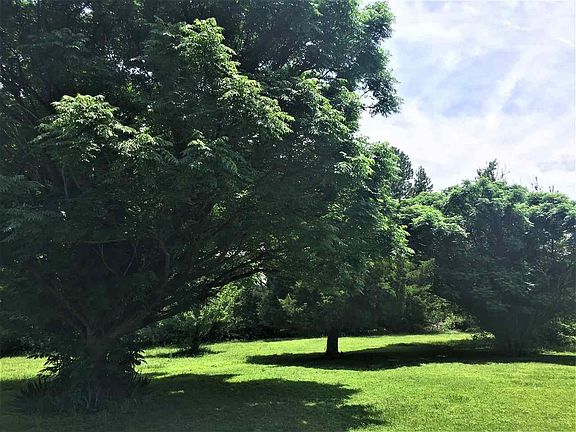 5th image of 7250 Clara Dr Lot 65