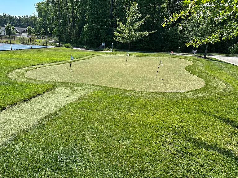Putting green right across the street