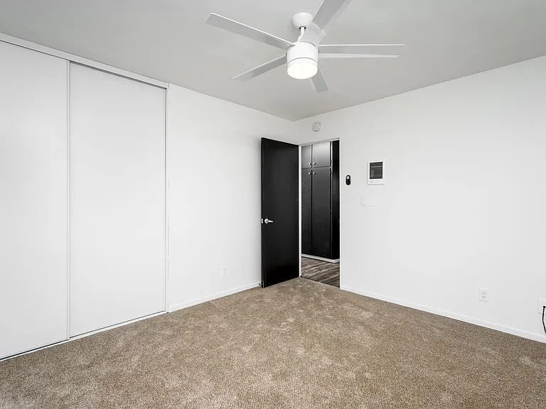 Antone Apartments — Photo 155