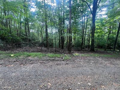 Powhatan Trail Lots 41 #42-43, Fancy Gap, VA, 24328