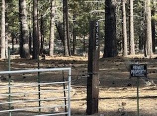 34557 Polique Canyon Rd, Fawnskin, CA 92333