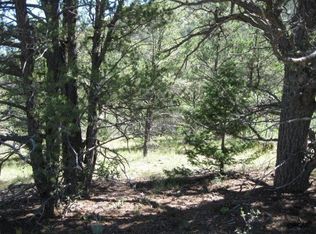 Tbd F Path, Cotopaxi, CO 81223