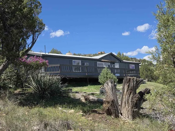 254 Deer Park, Arboles, CO 81121
