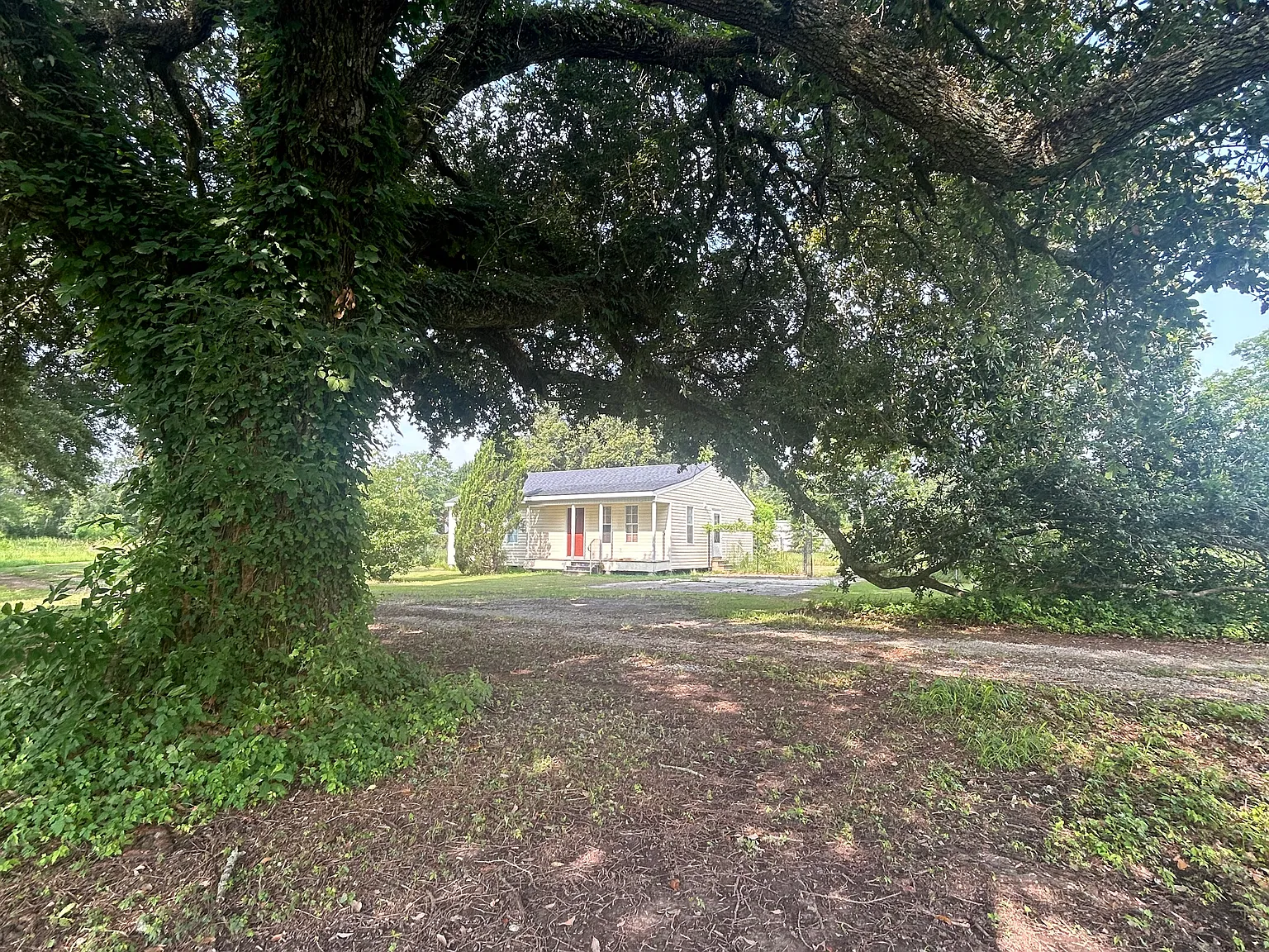 2 bed, 1100 sqft, $1,200 — Photo 3