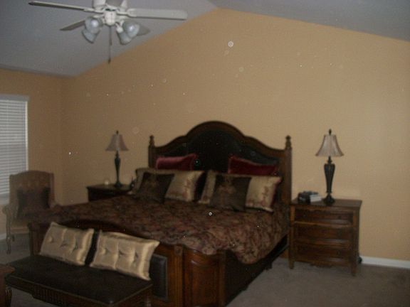 Master Bedroom w/ Vaulted Ceiling