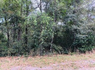 NW 45th Ter, Chiefland, FL 32626