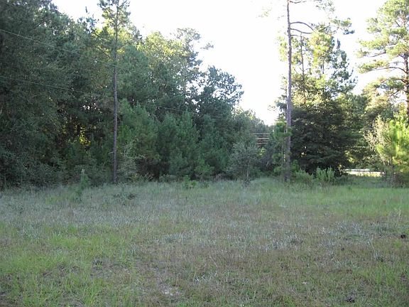 5th image of 4047 Raymond Cochran Ln #0