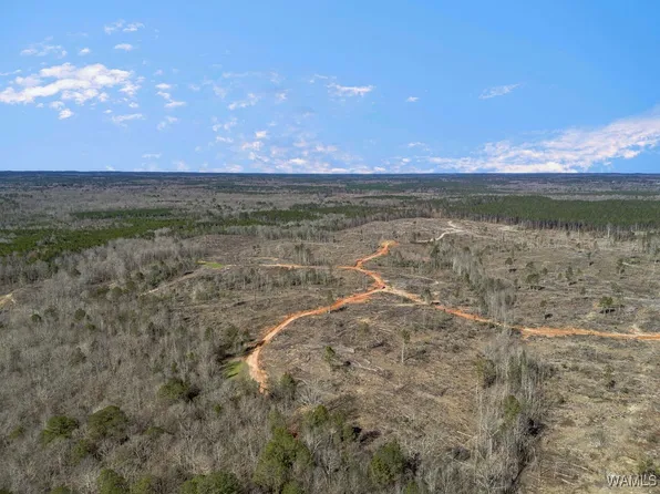 0 Brown St, Ward, AL 36922