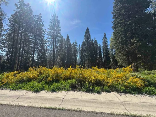 LOT 37 Panther Meadow Dr, McCloud, CA 96057