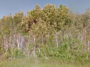 614 Delmonico St, Lehigh Acres, FL 33974